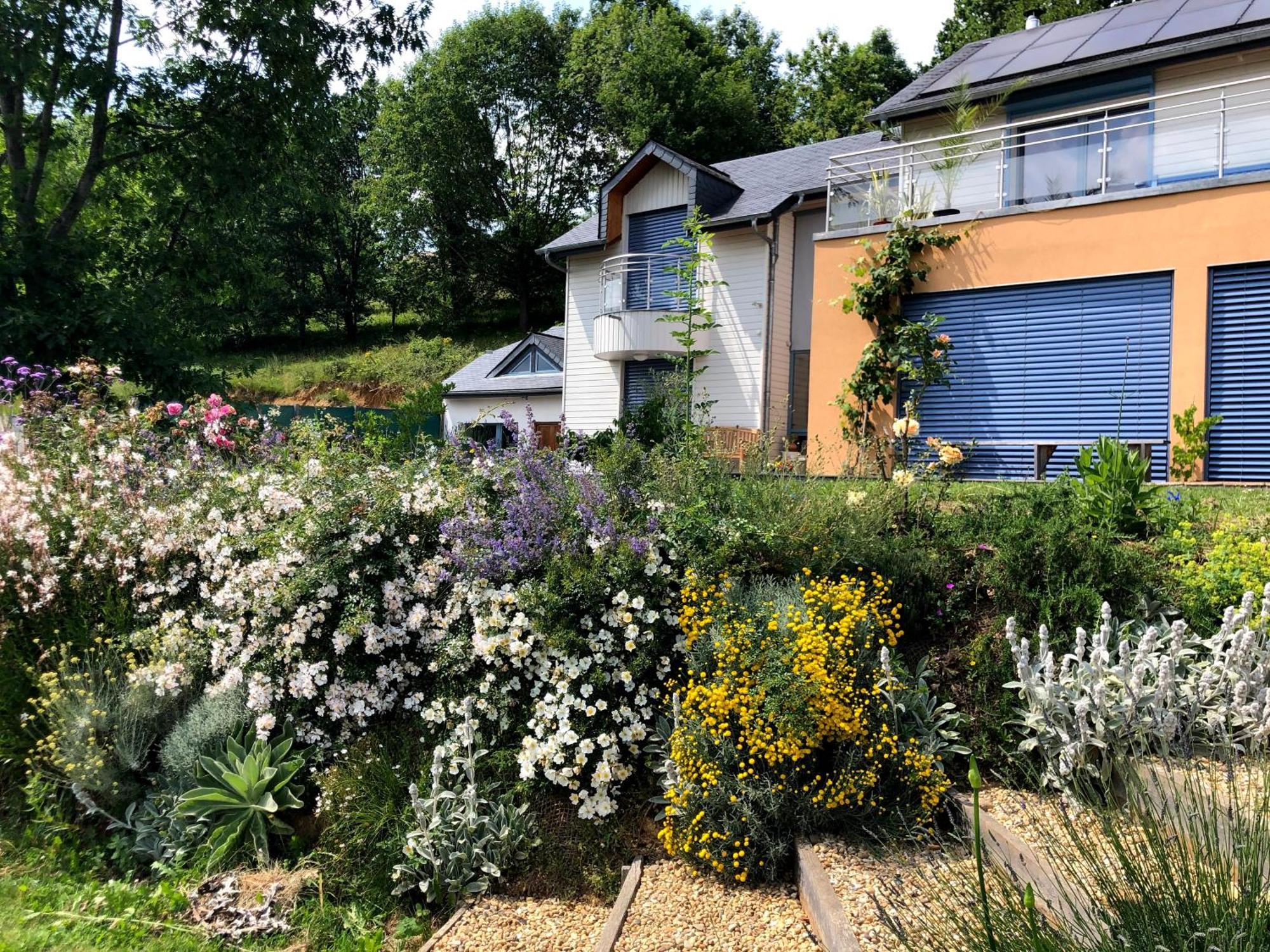 Ferienwohnung Poulou Pyrenees Gelos Exterior foto